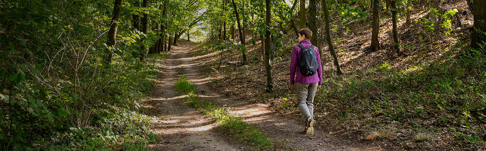 Headerbild, Frau wandert einen Weg durch den Wald entlang