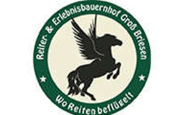 Gross Briesen logo partner215x130px
