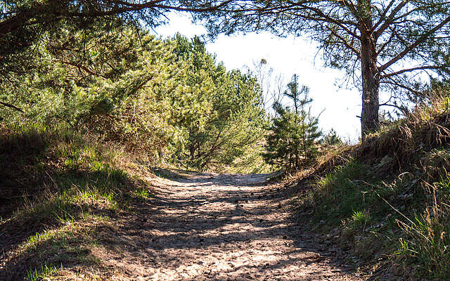 Rundweg bei Glau