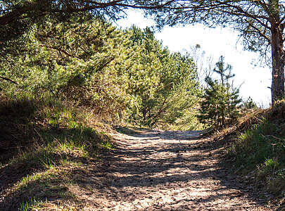 Rundweg bei Glau