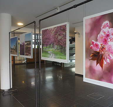 PM „Früher Sperrzone – heute Ausflugsziel“: Instagram-Ausstellung