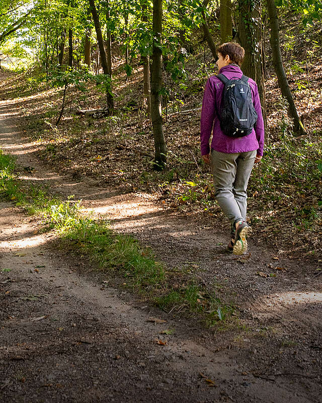 Headerbild, Frau wandert im Hohen Fläming durch den Wald