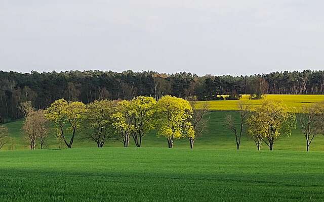 Weite Blicke prägen die Landschaft