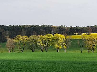 Weite Blicke prägen die Landschaft