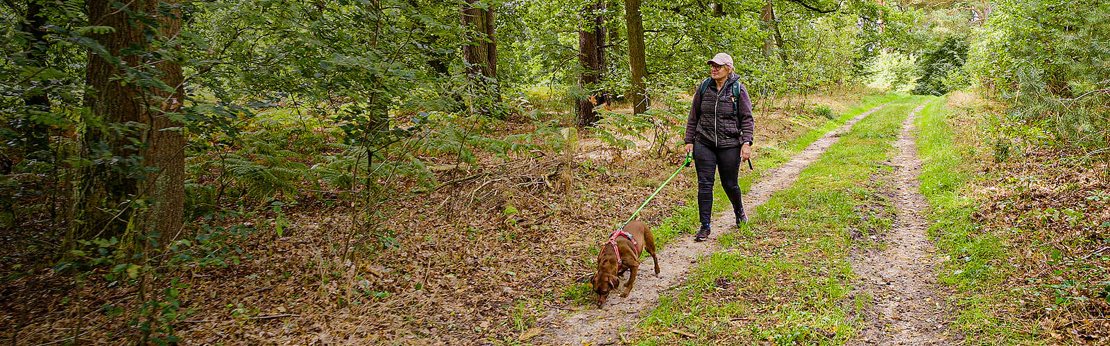 Headerbild, Frau wandert mit Hund durch den Wald