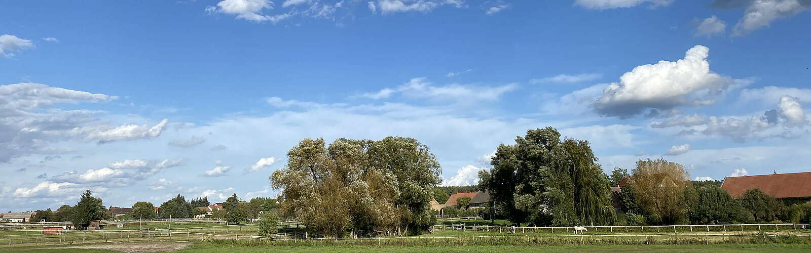 Wiesen und Weiden bei Hennickendorf,
        
    

        Foto: Tourismusverband Fläming e.V./Susan Gutperl