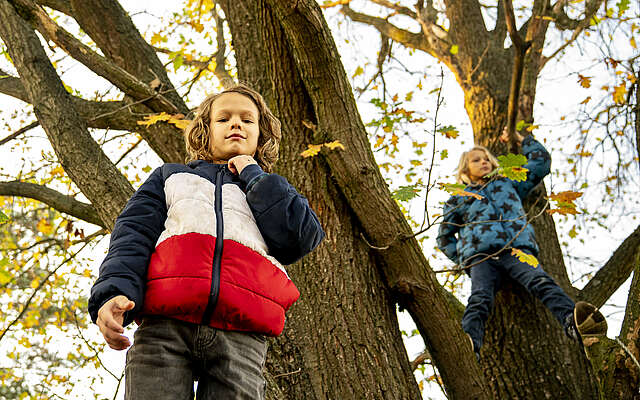 Die Auszeit -  Kinder im Baum