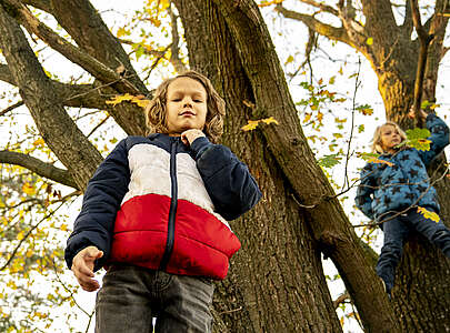 Die Auszeit -  Kinder im Baum