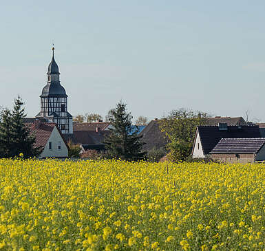 Niedergörsdorf