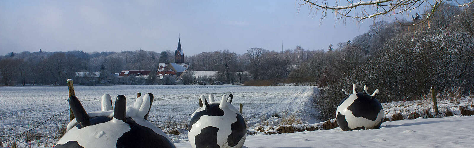 Winter im Naturpark Hoher Fläming,
        
    

        Foto: Naturpark Hoher Fläming/Heiko Bansen/Juliane Wittig
