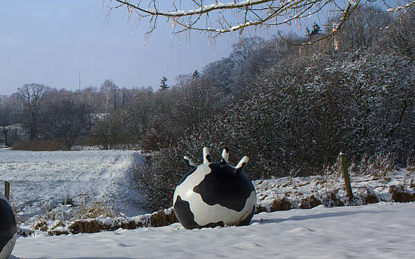 Winter im Naturpark Hoher Fläming
