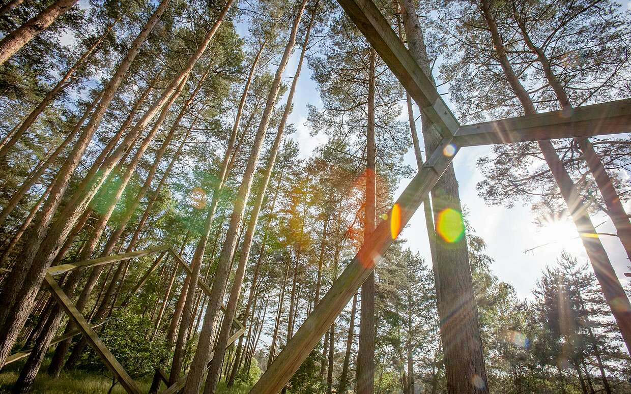 Kunstwerk Unter Kiefern auf dem Kunstwanderweg