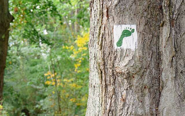 Naturerlebnispfad am Fuß der Burg