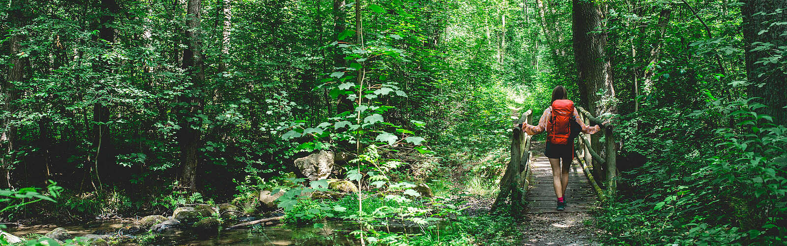 Im Nieplitztal bei Treuenbrietzen,
        
    

        Foto: Tourismusverband Fläming e.V./Antje Wickboldt