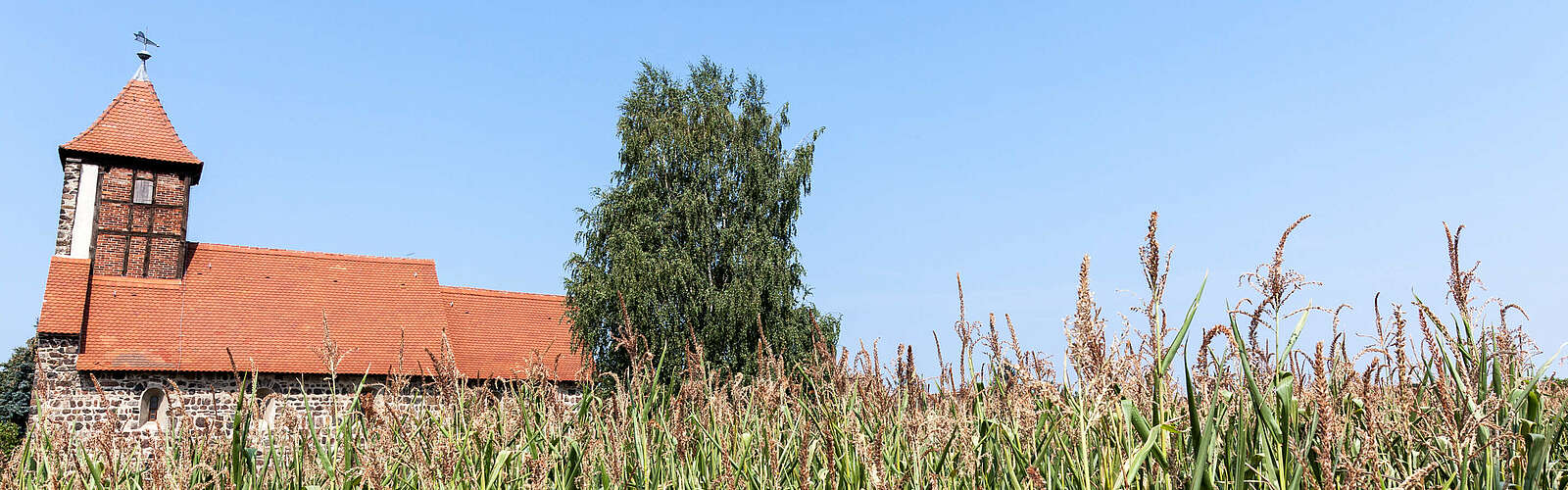 Landschaft im Naturpark Fläming,
        
    

        Foto: Tourismusverband Fläming e.V./Jedrzej Marzecki