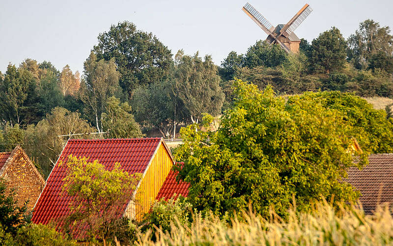 



        
            Borne und die Borne Bockwindmühle,
        
    

        Foto: Tourismusverband Fläming e.V./Jedrzej Marzecki
    