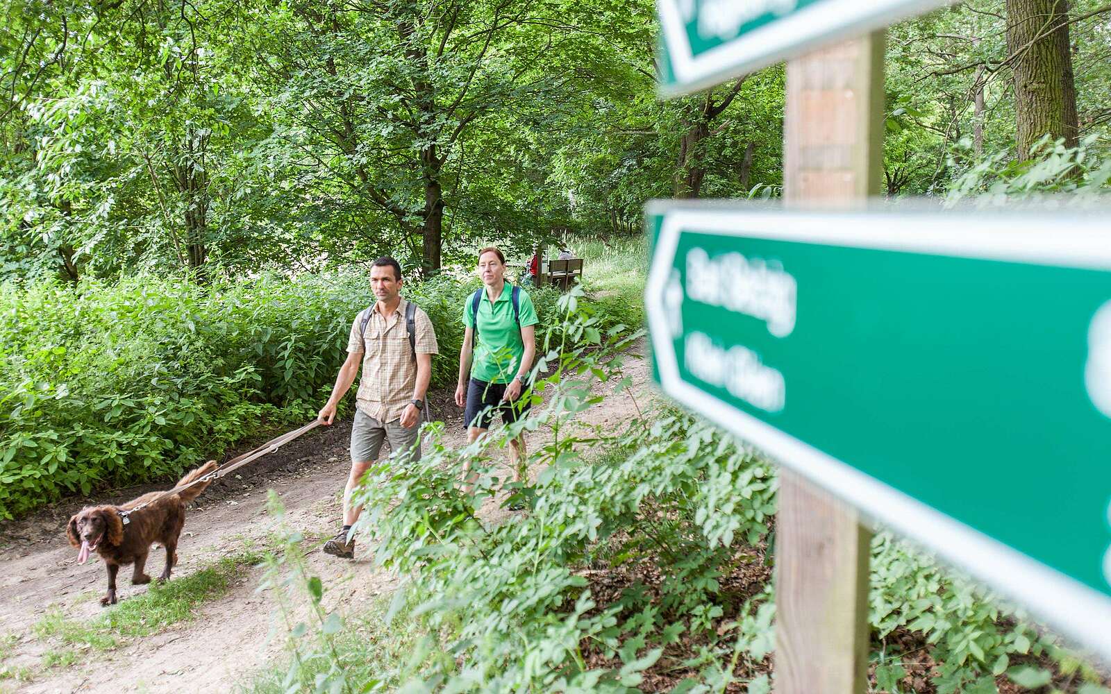 Paar wandert mit Hund im Hohen Fläming