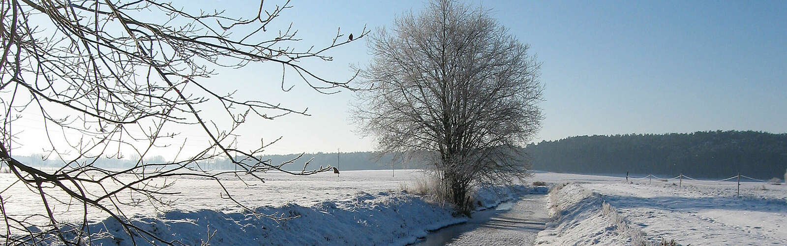 Winterlandschaft Fläming Zauche,
        
    

        Foto: Tourismusverband Fläming e.V./Christiane Wittig