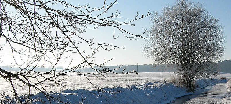 Winter im Fläming