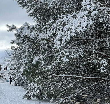 Naturpark Nuthe-Nieplitz