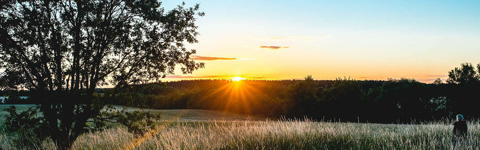 Sonnenuntergang vom Hagelberg,
        
    

        Foto: Tourismusverband Fläming e.V./Antje Wickboldt