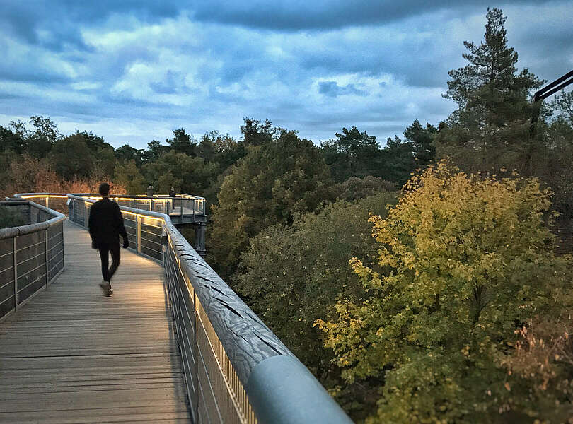 Baumkronenpfad Beelitz Heilstätten