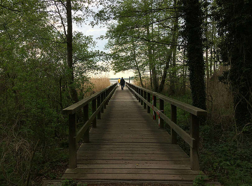 Der Bohlensteg Blankensee