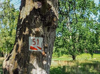 Städteporträt Ziesar - Rundweg Nr. 51