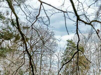 Wildnisschule Hoher Fläming - Wildnisplatz der Zinken