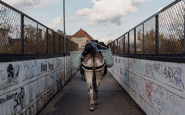 Eselnomaden Jan Prowaznik unterwegs mit Eseln