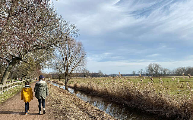 Spaziergang in der Diedersdorfer Heide