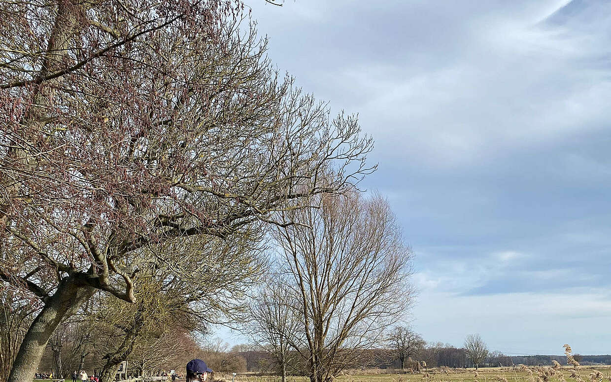 Spaziergang in der Diedersdorfer Heide