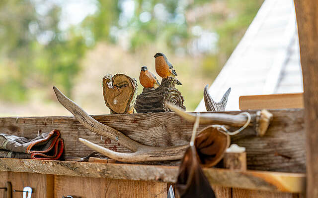 Wildnisschule Hoher Fläming - Detail Wildniscamp