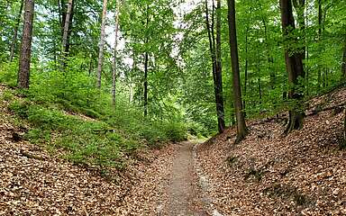 Findlingswanderweg im Hohen Fläming