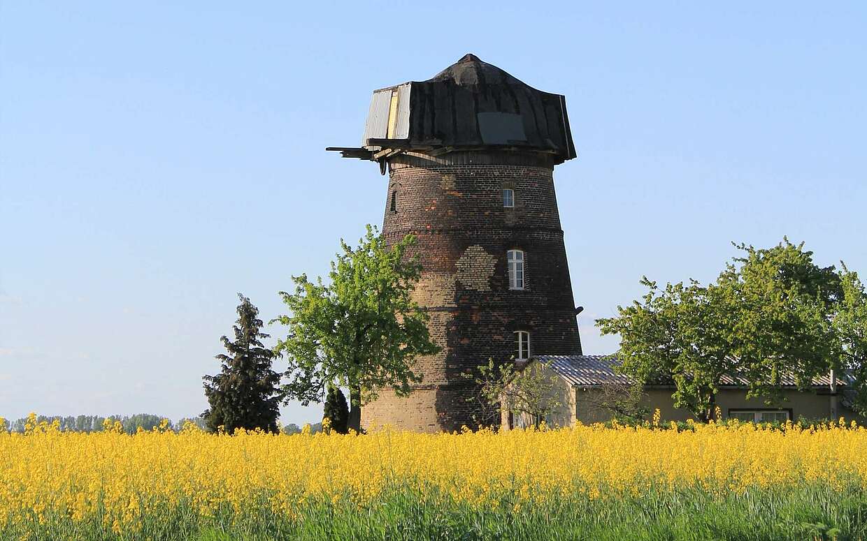 Turmwindmühle Niemegk