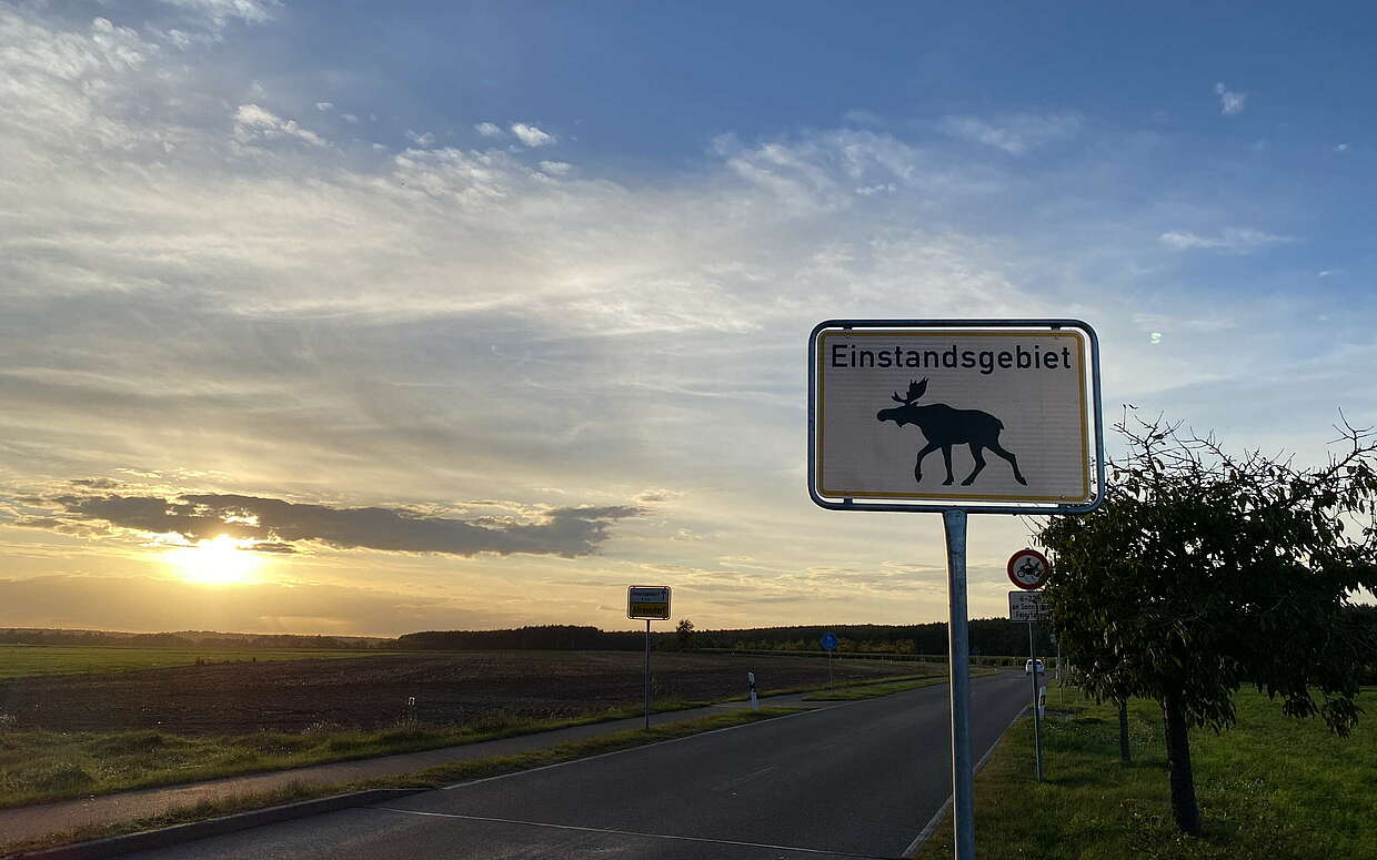 Achtung Elch! Schild bei Ahrensdorf