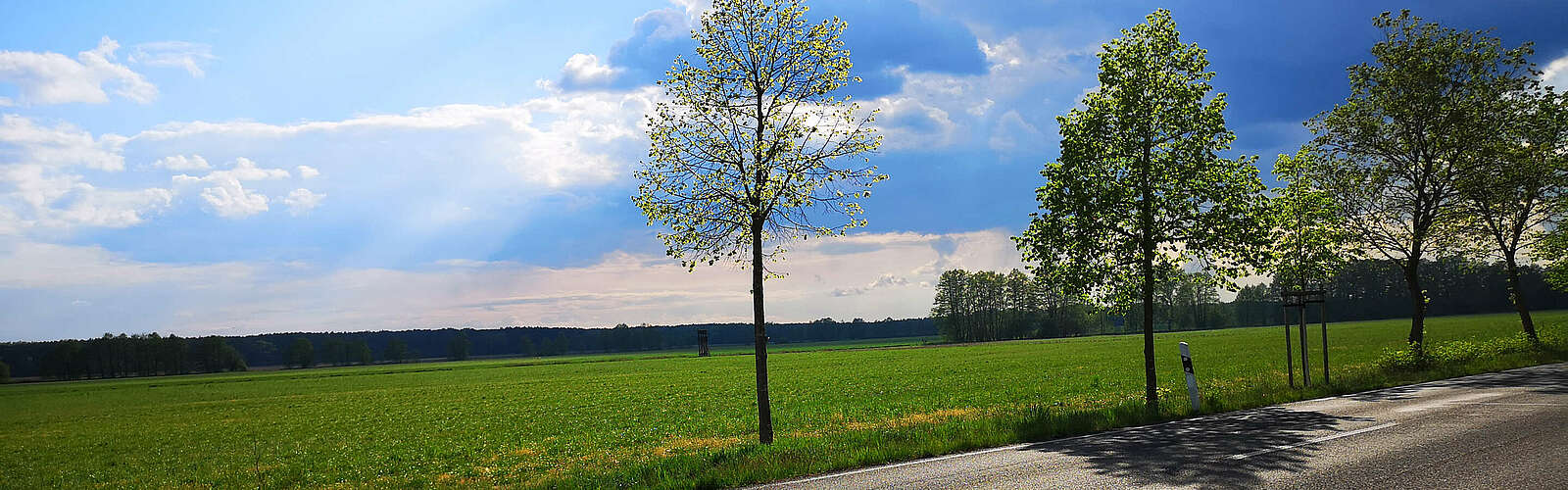 Entlang der Landstraße nach Löwenberg,
        
    

        Foto: Tourismusverband Fläming e.V./Catharina Weisser