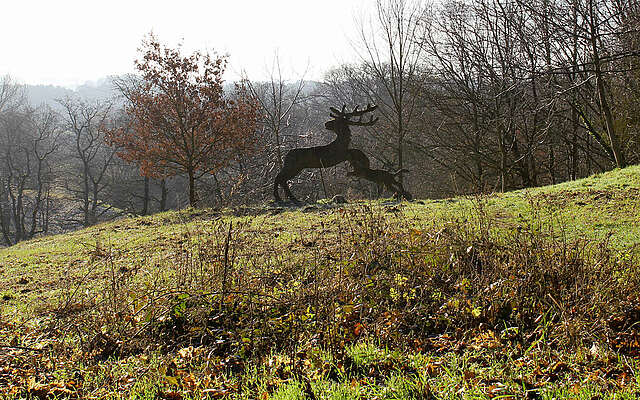 Wildnisschule Hoher Fläming