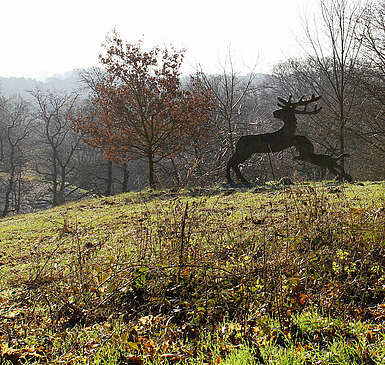 Wildnisschule Hoher Fläming