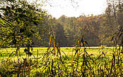 Naturparke im Fläming