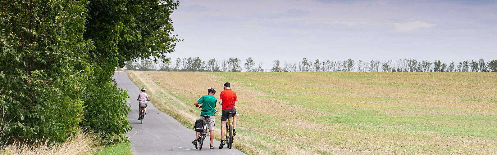 Radwandern im Naturpark Fläming,
        
    

        Foto: Welterberegion/Anja Knorr