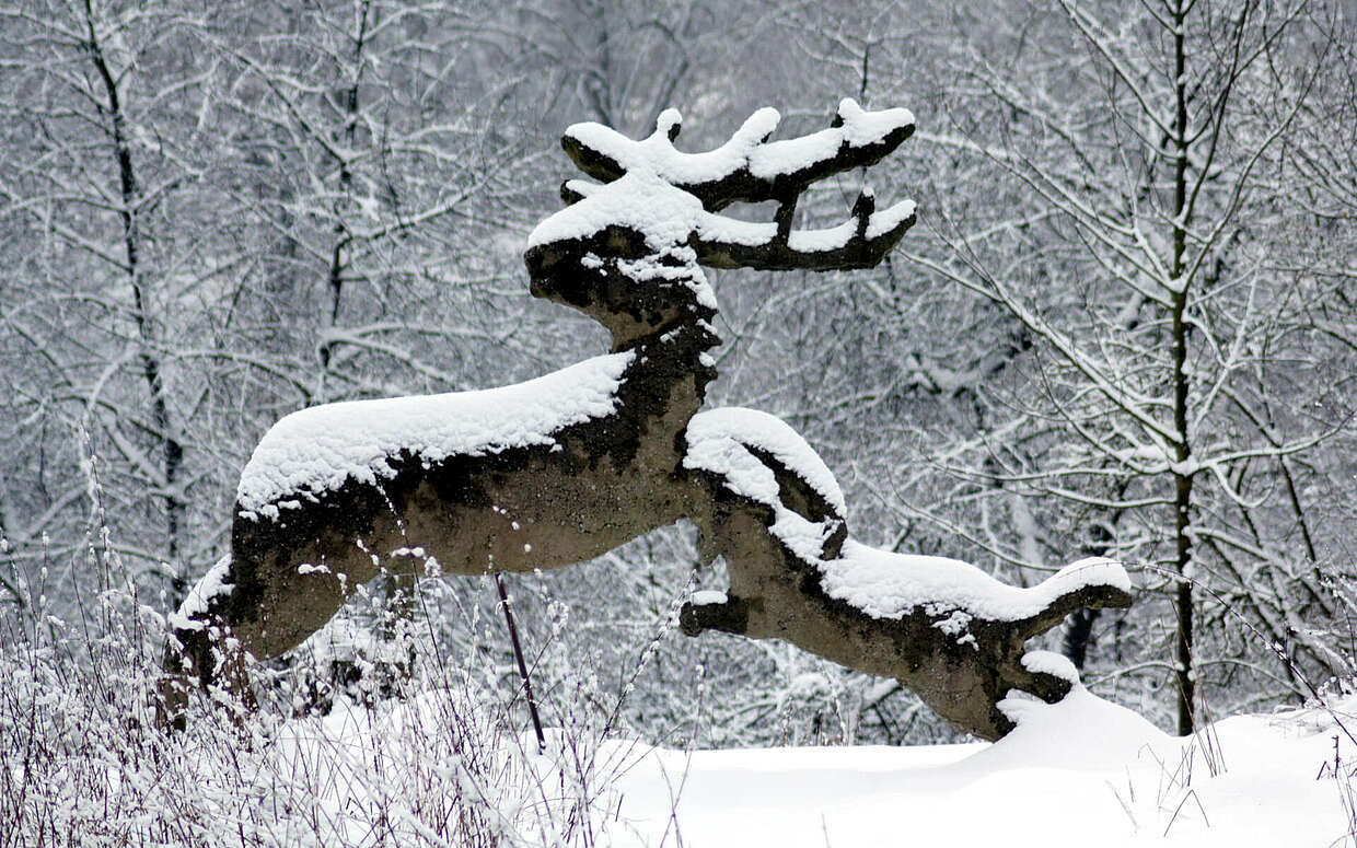 Winterwanderung im Hohen Fläming