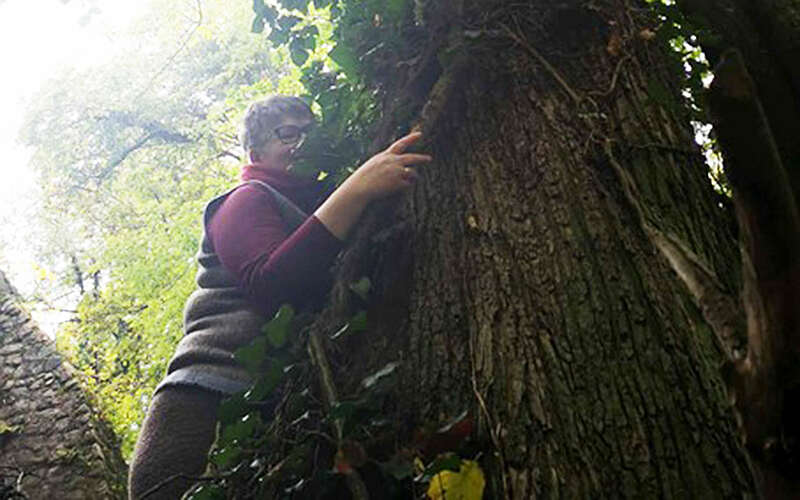 



        
            Britt Muschert beim Waldbaden,
        
    

        Foto: Hollerhofkräuter/Julia Borchert
    