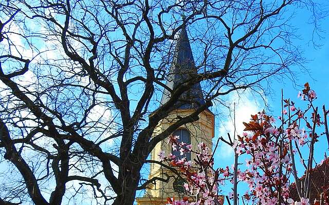 Städteporträt Zossen, Kirchturm hinter Blüten