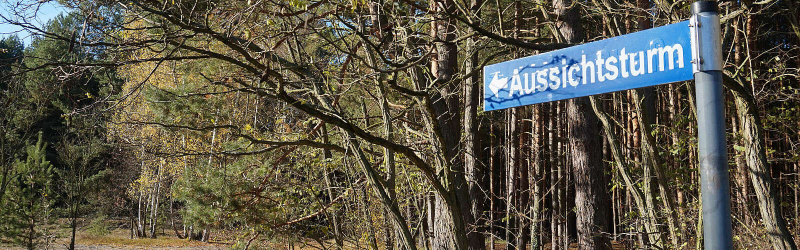 Hinweisschild zum Löwendorfer Turm,
        
    

        Foto: Tourismusverband Fläming e.V./Fanny Raab