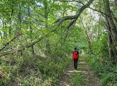 Städteporträt Ziesar - Rundweg Nr. 51