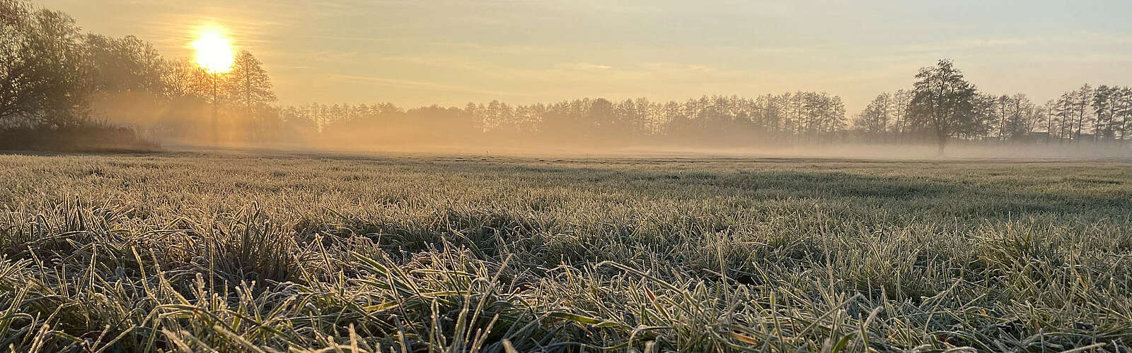 Feld mit Reif bei Beelitz,
        
    

        Foto: TVF Fläming/Susan Gutperl