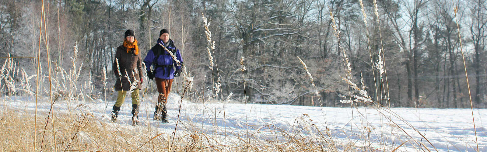 Winter im Naturpark Hoher Fläming,
        
    

        Foto: Naturpark Hoher Fläming/Heiko Bansen/Juliane Wittig