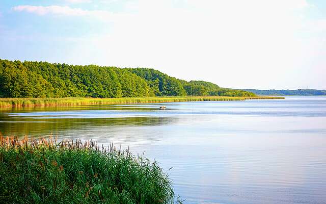 Uferlandschaft am Mellensee