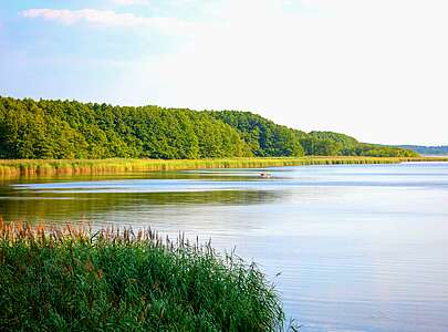 Uferlandschaft am Mellensee